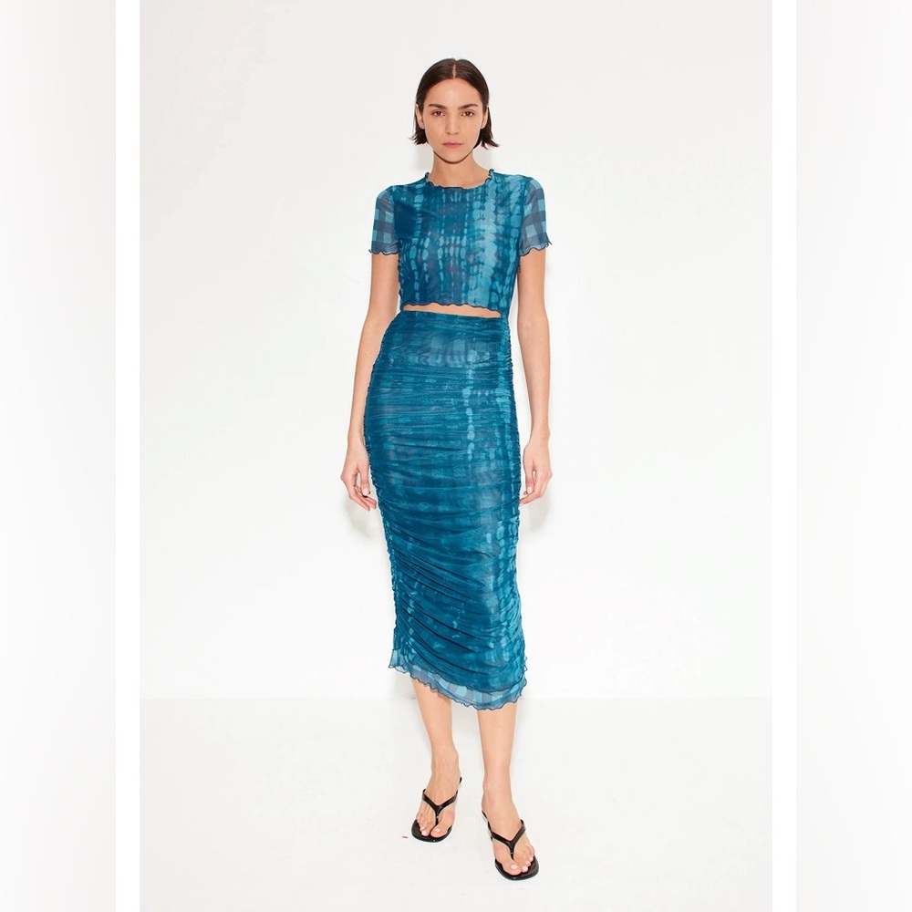 (A85)NWOT Simon Miller | Gingham Mesh Dress